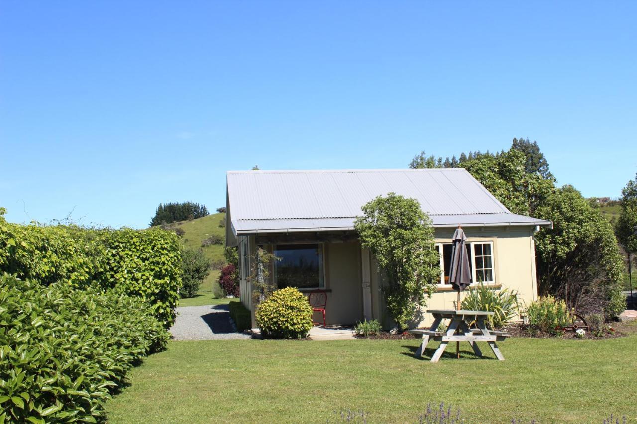 Blue Thistle Cottages Те-Анау Екстер'єр фото